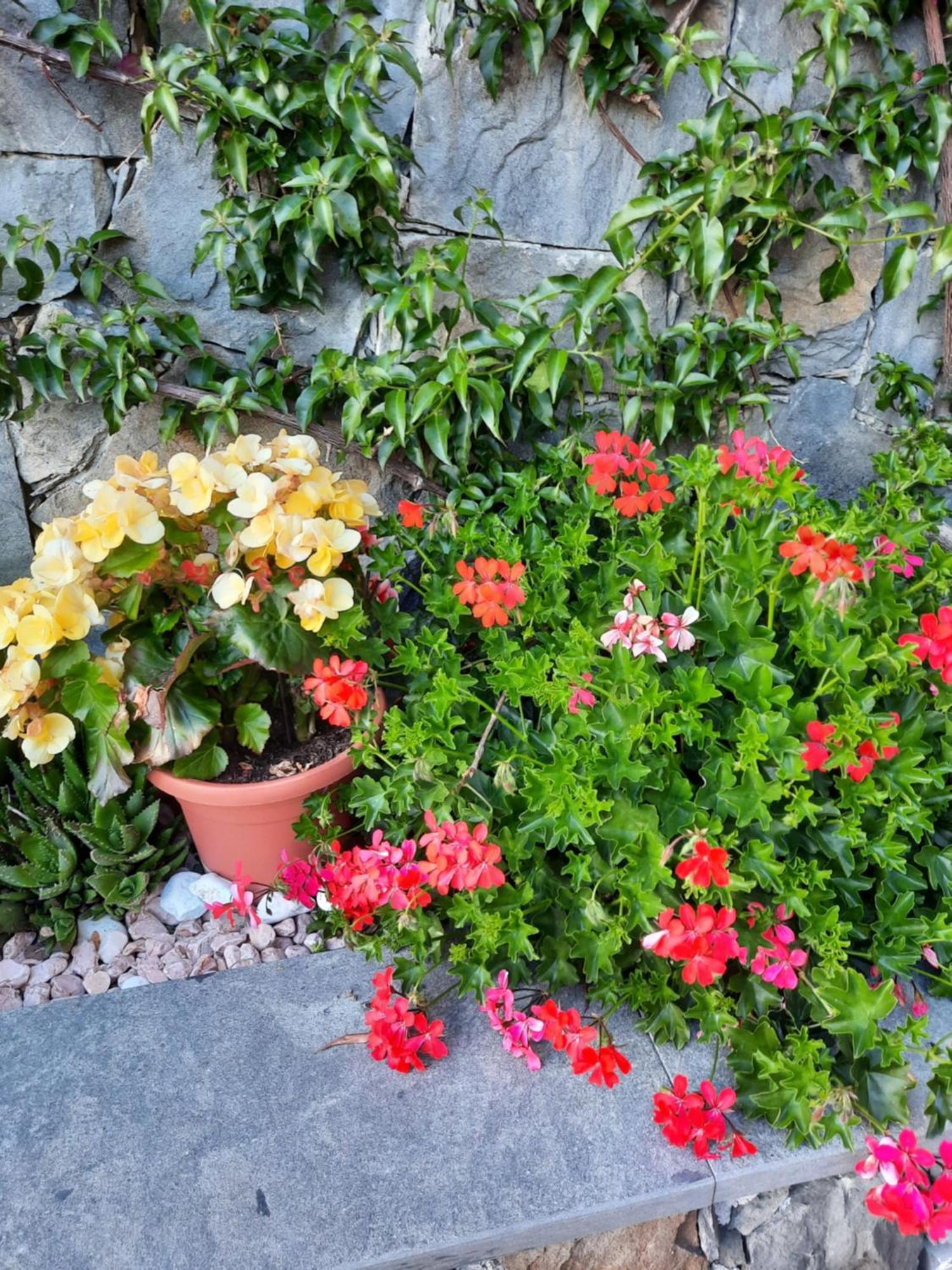 B&B Vignola Levanto Exterior foto