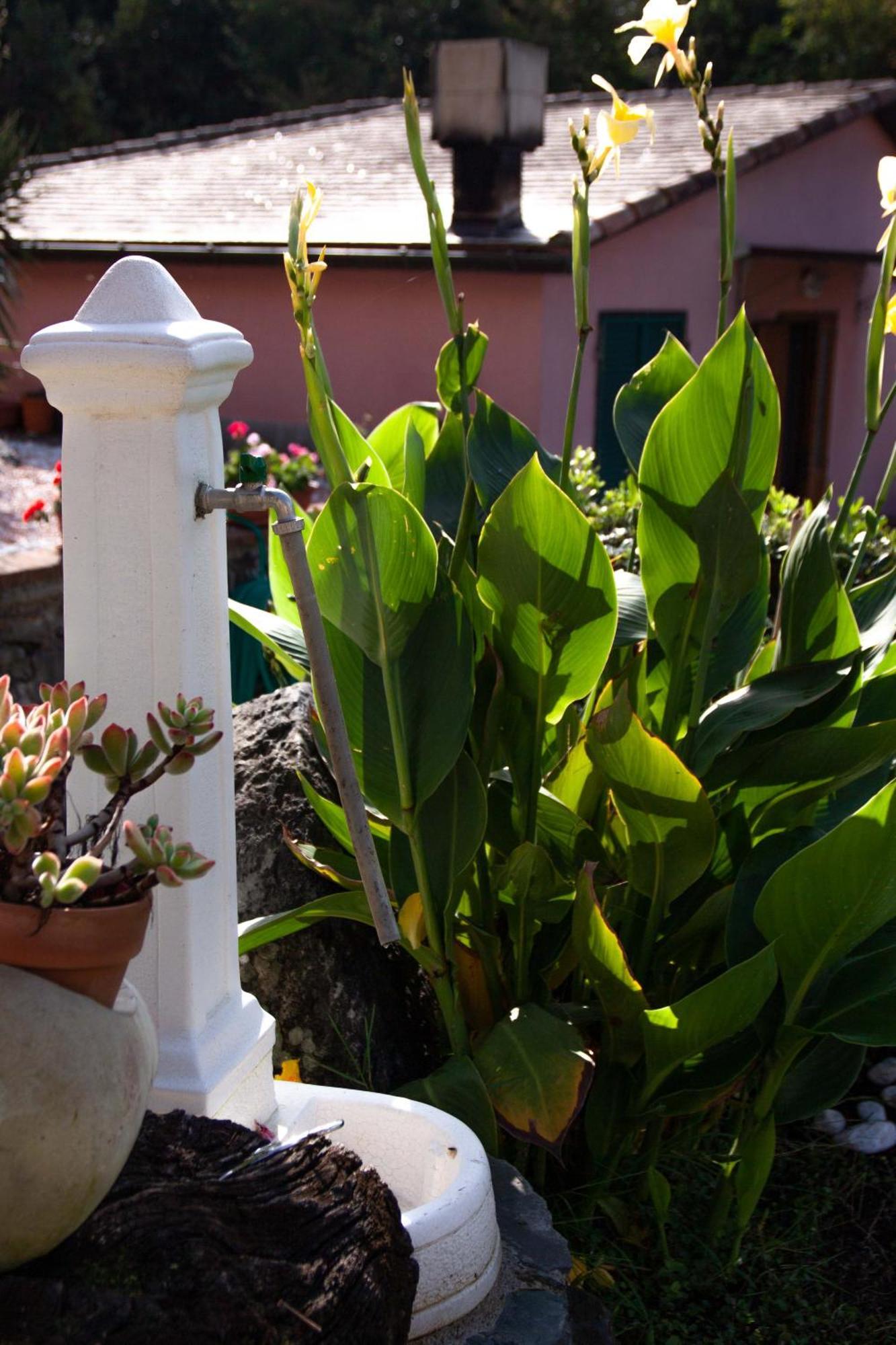 B&B Vignola Levanto Exterior foto